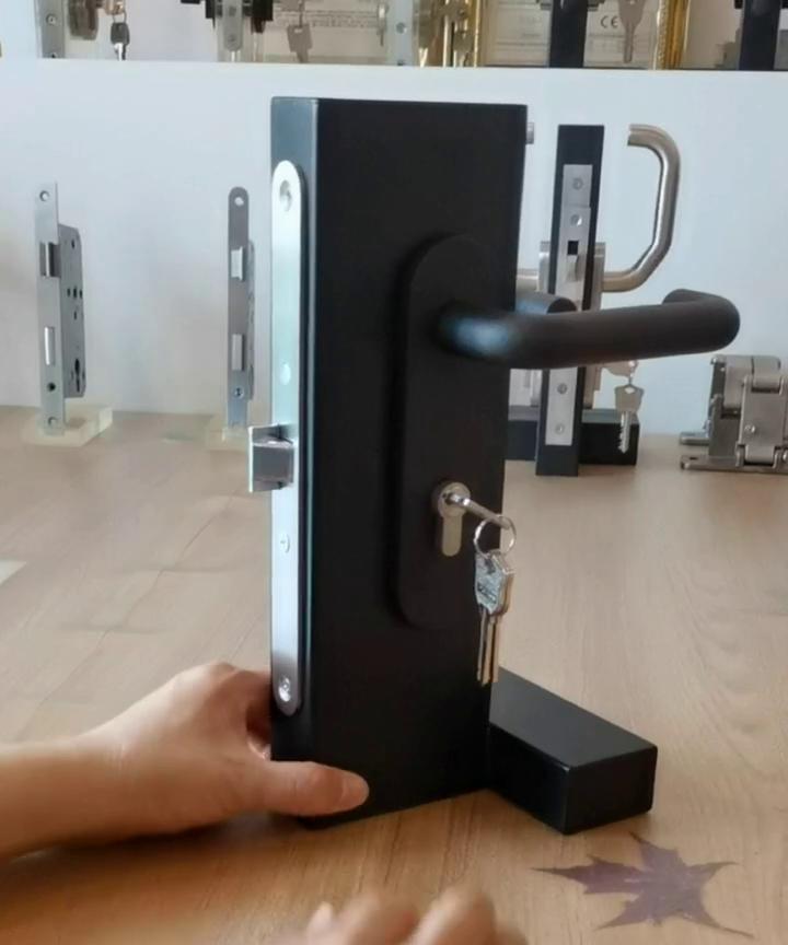 1739,H6572AP-PANIK Mortise Lock